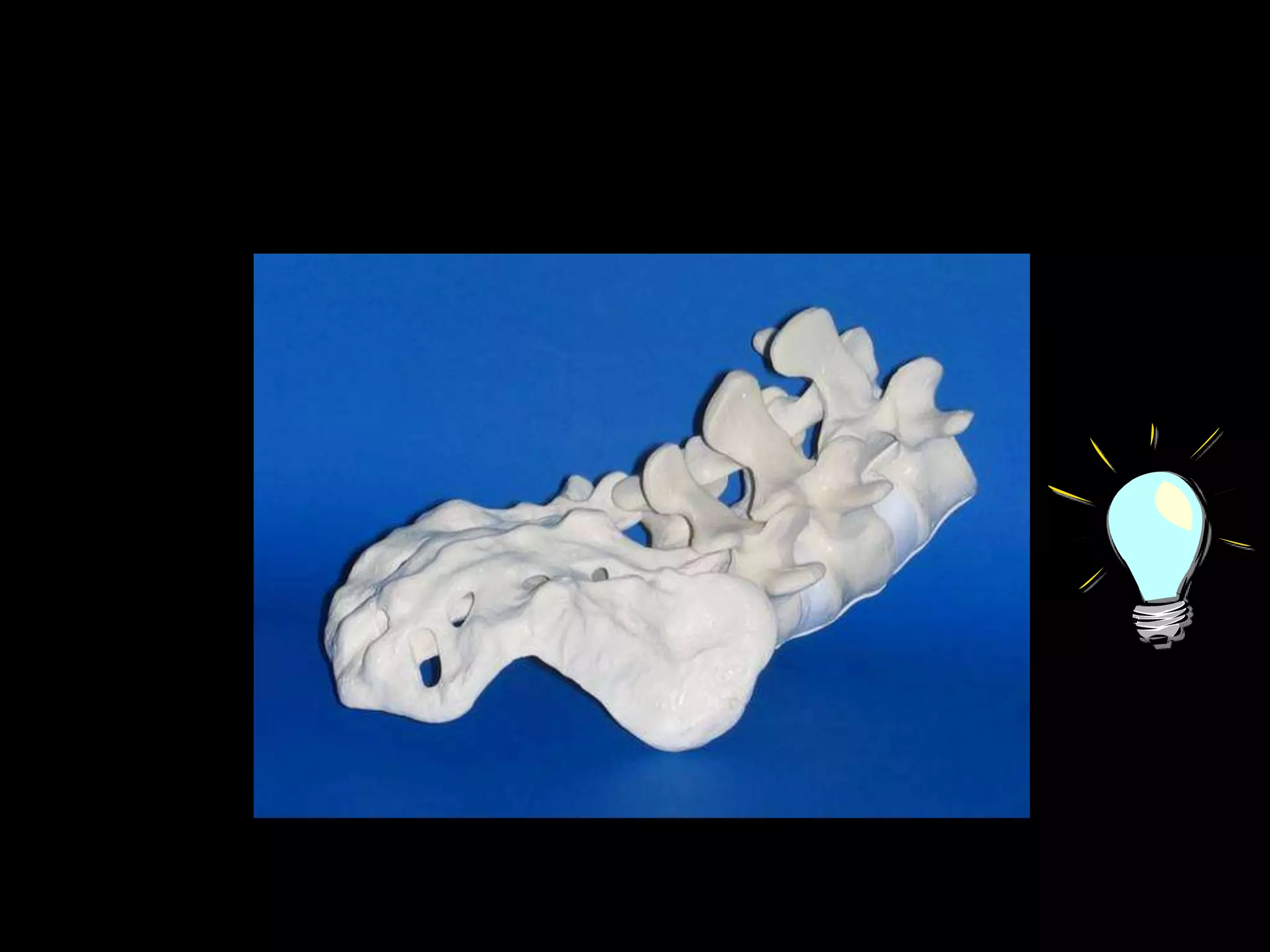 Privacy in public and authentication 