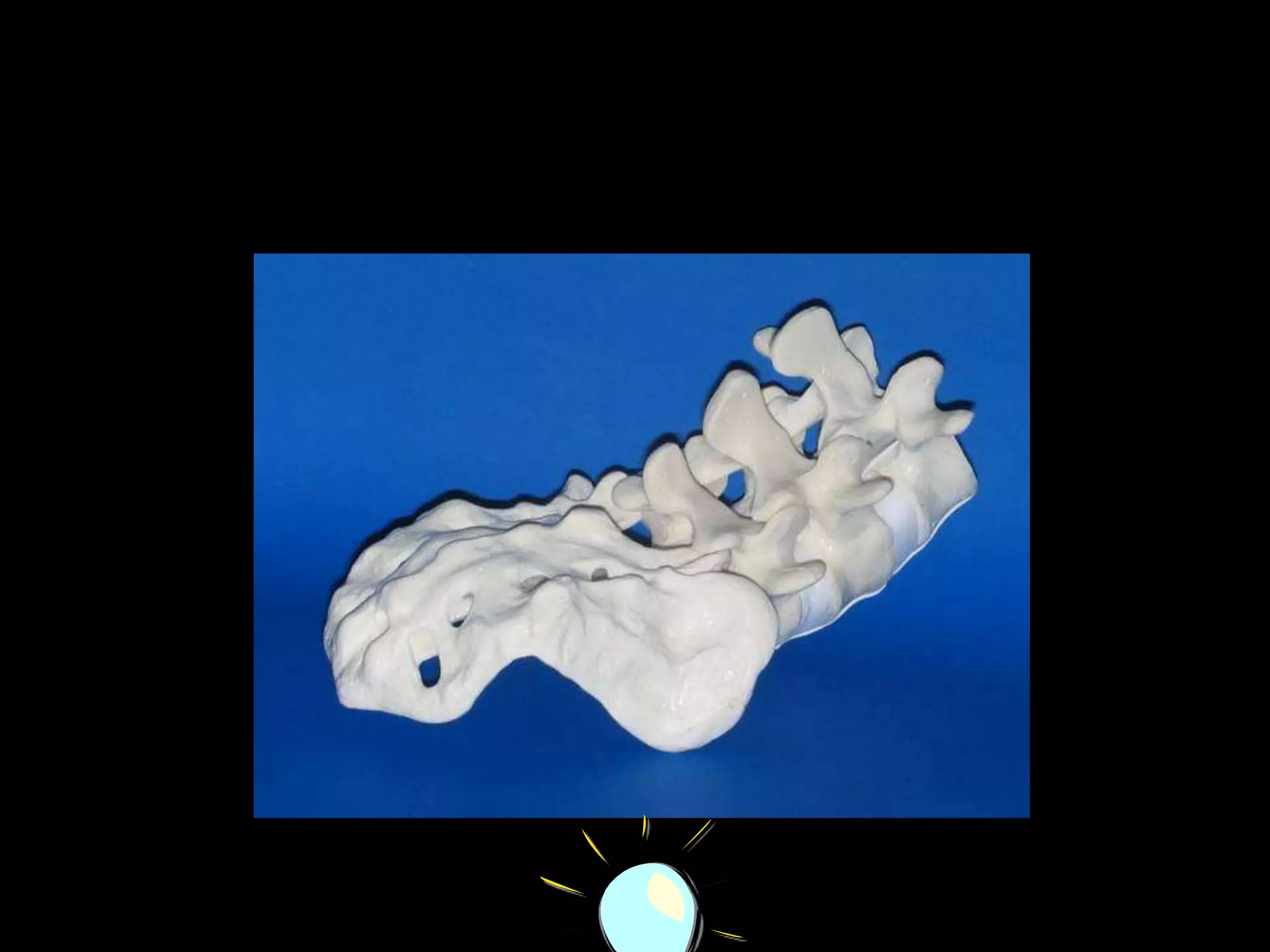 Print ‘material’ Camera CultureRamesh  Raskar