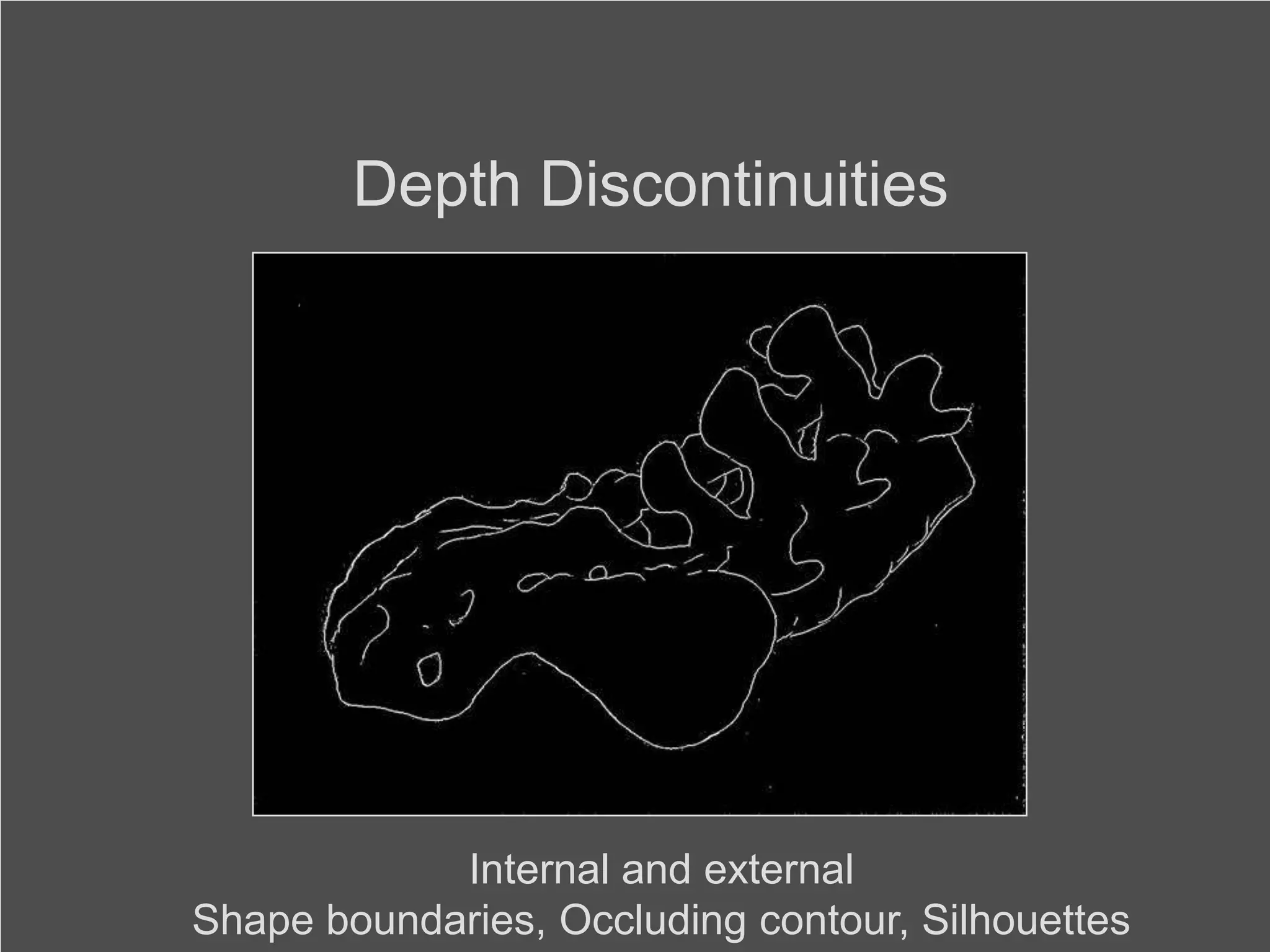 Wish #5Capturing EssenceCamera CultureRamesh  Raskar