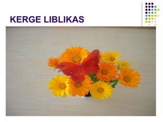 KERGE LIBLIKAS 