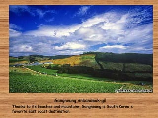 Gangneung Anbandeok-gil 
Thanks to its beaches and mountains, Gangneung is South Korea's 
favorite east coast destination. 
 