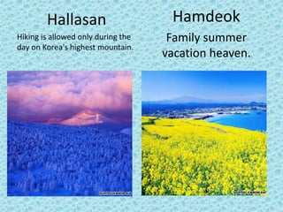 Hamdeok 
Family summer 
vacation heaven. 
Hallasan 
Hiking is allowed only during the 
day on Korea's highest mountain. 
 