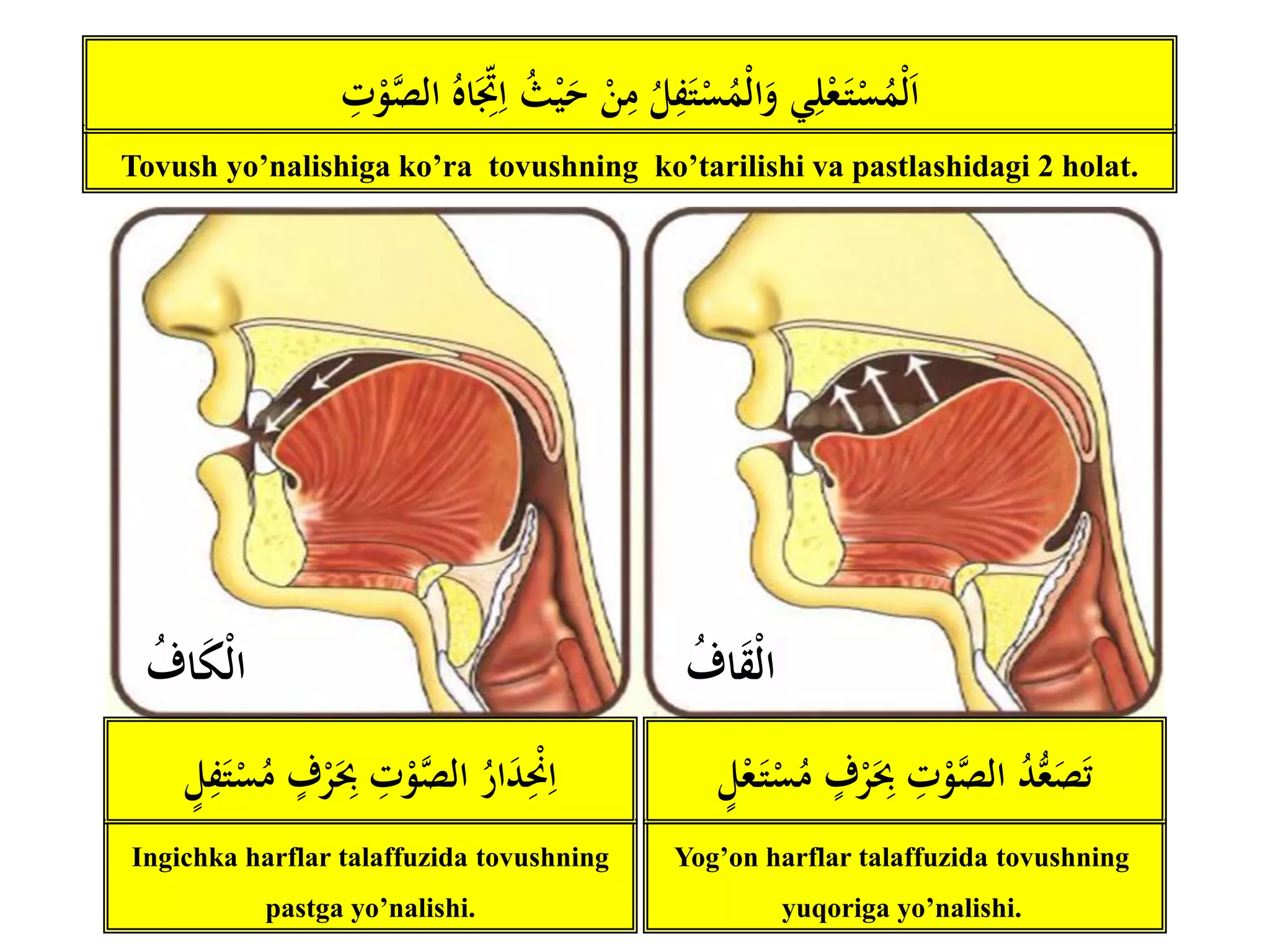 Lezbiyen porno filmlarini onlayn tomosha qiling