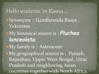  Synonyms : Gandhamula Rasya ,
Yuktarasa
 My botanical source is : Pluchea
lanceolata
 My family is : Asteraceae
 My geographical source is : Punjab,
Rajasthan, Upper West Bengal, Uttar
Pradesh and neighboring Asian
countries together with North Africa.
 