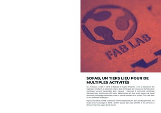 Rapport d'activité SoFAB 2020