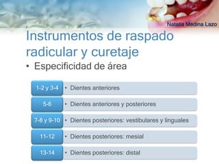 Natalia Medina Lazo

Instrumentos de raspado
radicular y curetaje
• Especificidad de área

  1-2 y 3-4   • Dientes anteriores

    5-6       • Dientes anteriores y posteriores

 7-8 y 9-10 • Dientes posteriores: vestibulares y linguales

   11-12      • Dientes posteriores: mesial

   13-14      • Dientes posteriores: distal
 