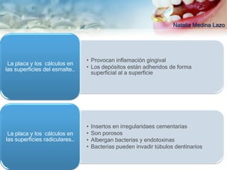 Natalia Medina Lazo




                               • Provocan inflamación gingival
 La placa y los cálculos en
las superficies del esmalte…   • Los depósitos están adheridos de forma
                                 superficial al a superficie




                               •   Insertos en irregularidaes cementarias
 La placa y los cálculos en    •   Son porosos
las superficies radiculares…   •   Albergan bacterias y endotoxinas
                               •   Bacterias pueden invadir túbulos dentinarios
 