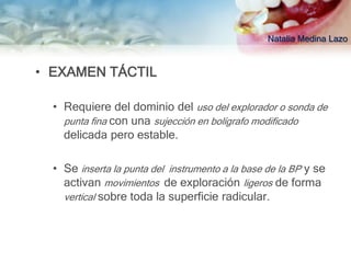 Natalia Medina Lazo


• EXAMEN TÁCTIL

  • Requiere del dominio del uso del explorador o sonda de
    punta fina con una sujección en bolígrafo modificado
    delicada pero estable.

  • Se inserta la punta del instrumento a la base de la BP y se
    activan movimientos de exploración ligeros de forma
    vertical sobre toda la superficie radicular.
 