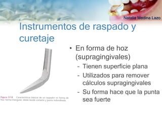 Natalia Medina Lazo

Instrumentos de raspado y
curetaje
          • En forma de hoz
            (supragingivales)
            – Tienen superficie plana
            – Utilizados para remover
              cálculos supragingivales
            – Su forma hace que la punta
              sea fuerte
 