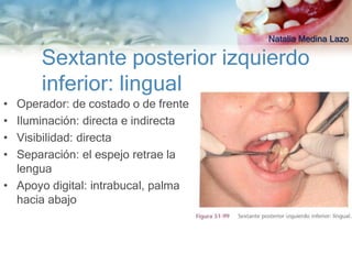 Natalia Medina Lazo

      Sextante posterior izquierdo
      inferior: lingual
• Operador: de costado o de frente
• Iluminación: directa e indirecta
• Visibilidad: directa
• Separación: el espejo retrae la
  lengua
• Apoyo digital: intrabucal, palma
  hacia abajo
 