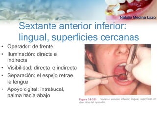 Natalia Medina Lazo

       Sextante anterior inferior:
       lingual, superficies cercanas
• Operador: de frente
• Iluminación: directa e
  indirecta
• Visibilidad: directa e indirecta
• Separación: el espejo retrae
  la lengua
• Apoyo digital: intrabucal,
  palma hacia abajo
 