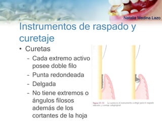 Natalia Medina Lazo

Instrumentos de raspado y
curetaje
• Curetas
  – Cada extremo activo
    posee doble filo
  – Punta redondeada
  – Delgada
  – No tiene extremos o
    ángulos filosos
    además de los
    cortantes de la hoja
 