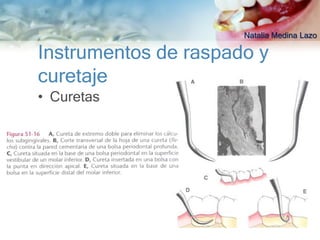 Natalia Medina Lazo

Instrumentos de raspado y
curetaje
• Curetas
 