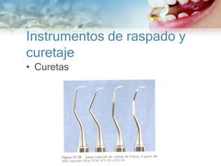 Instrumentos de raspado y
curetaje
• Curetas
 