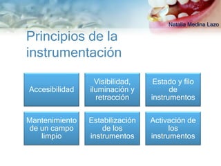 Natalia Medina Lazo

Principios de la
instrumentación

                  Visibilidad,    Estado y filo
Accesibilidad   iluminación y          de
                  retracción     instrumentos


Mantenimiento   Estabilización   Activación de
de un campo         de los             los
   limpio       instrumentos     instrumentos
 