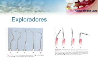 Natalia Medina Lazo



Exploradores
 