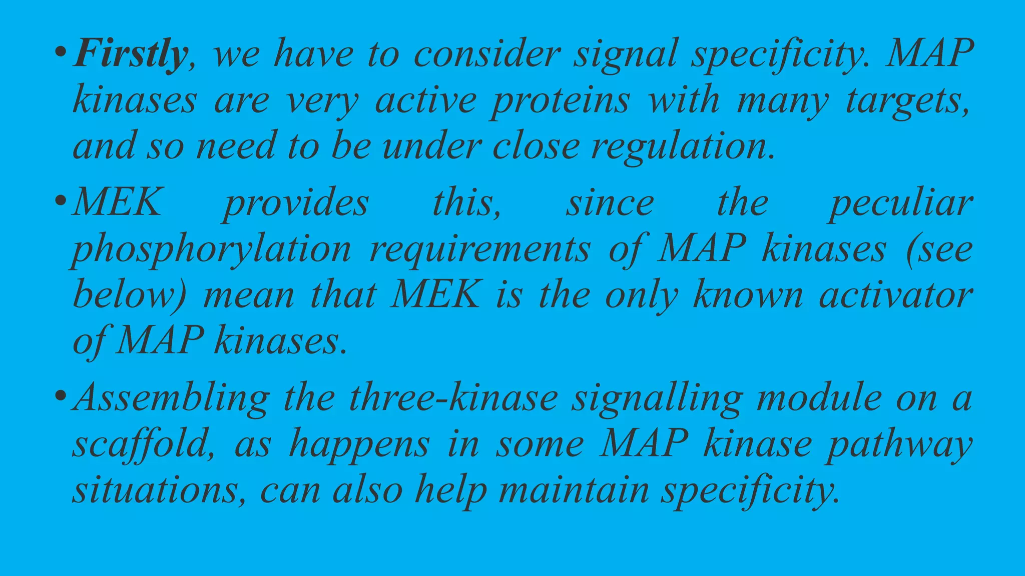 MAPK -Ras pathway | PPTX