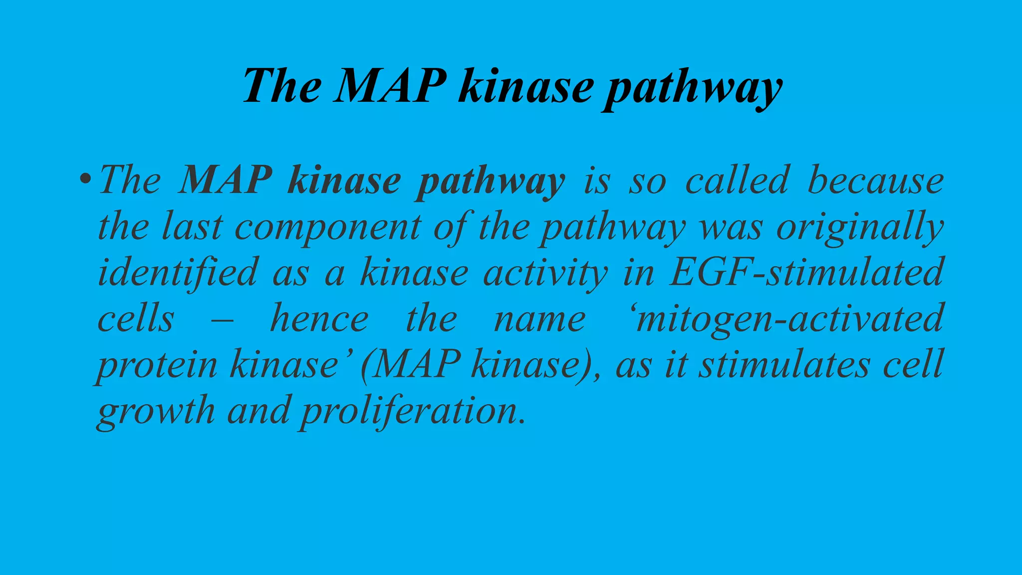 MAPK -Ras pathway | PPTX