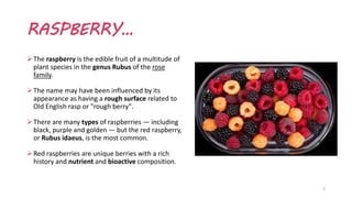 Raspberry - medicinal plant PowerPoint | PPT