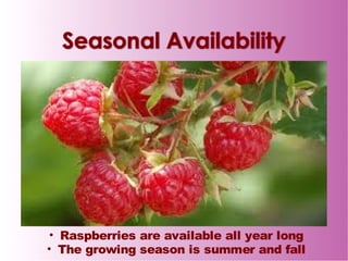 When Is Raspberry Season Raspberry final ppt | PDF