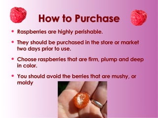 Raspberry final ppt | PDF