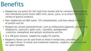 Raspberry Contains Raspberry harvester | PPTX