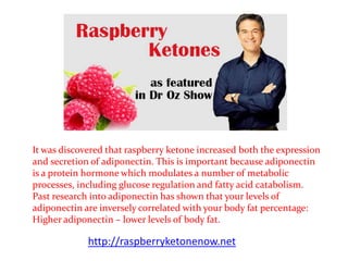 It was discovered that raspberry ketone increased both the expression
and secretion of adiponectin. This is important because adiponectin
is a protein hormone which modulates a number of metabolic
processes, including glucose regulation and fatty acid catabolism.
Past research into adiponectin has shown that your levels of
adiponectin are inversely correlated with your body fat percentage:
Higher adiponectin – lower levels of body fat.

             http://raspberryketonenow.net
 