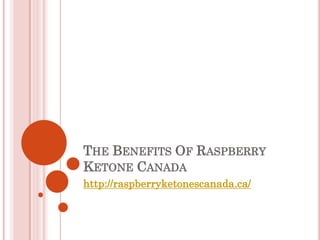 THE BENEFITS OF RASPBERRY
KETONE CANADA
http://raspberryketonescanada.ca/
 