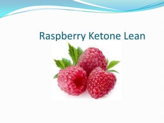 Raspberry Ketone Lean
 