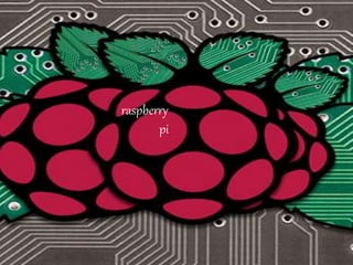raspberry
pi
 