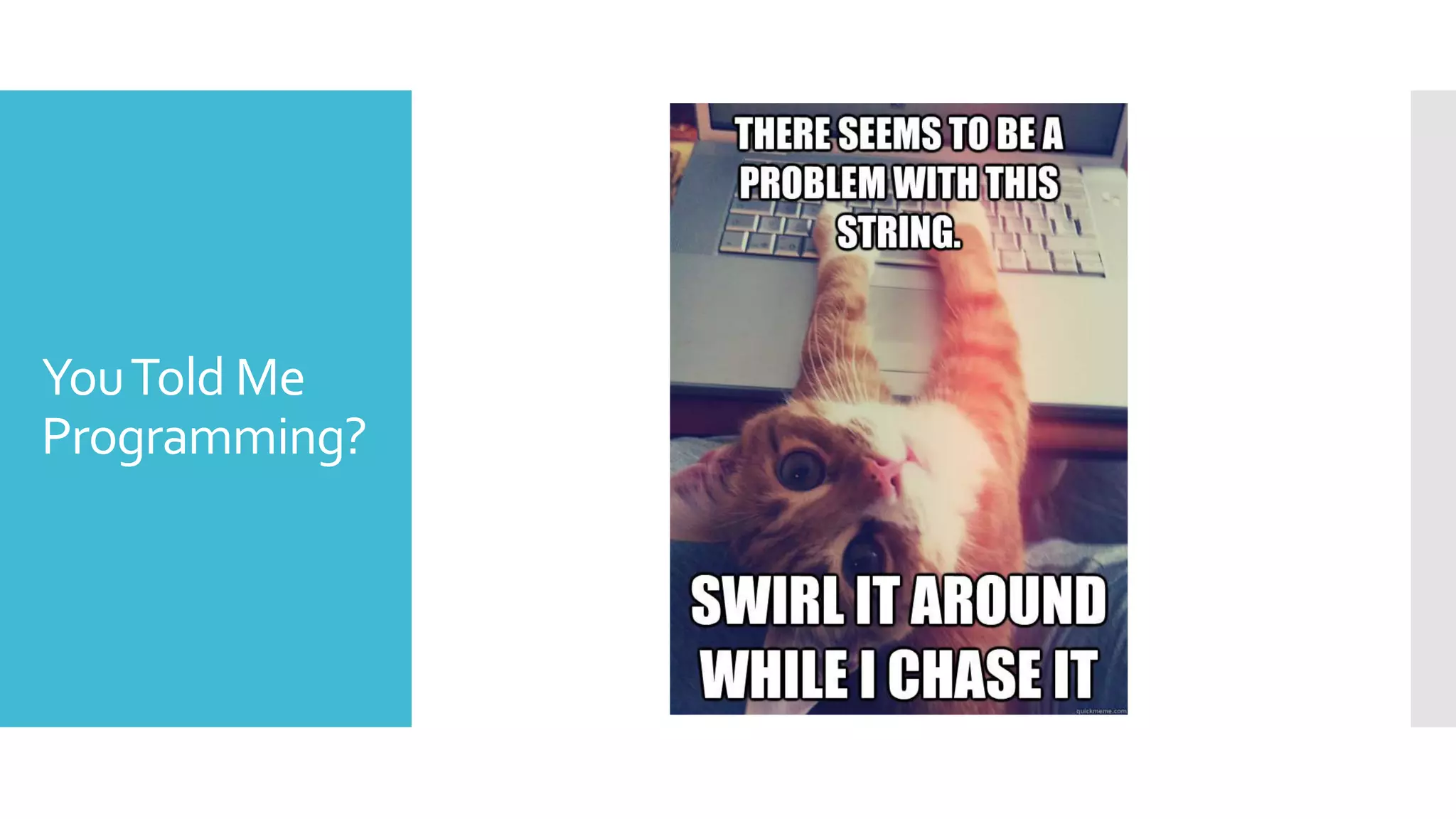 YouTold Me
Programming?
 