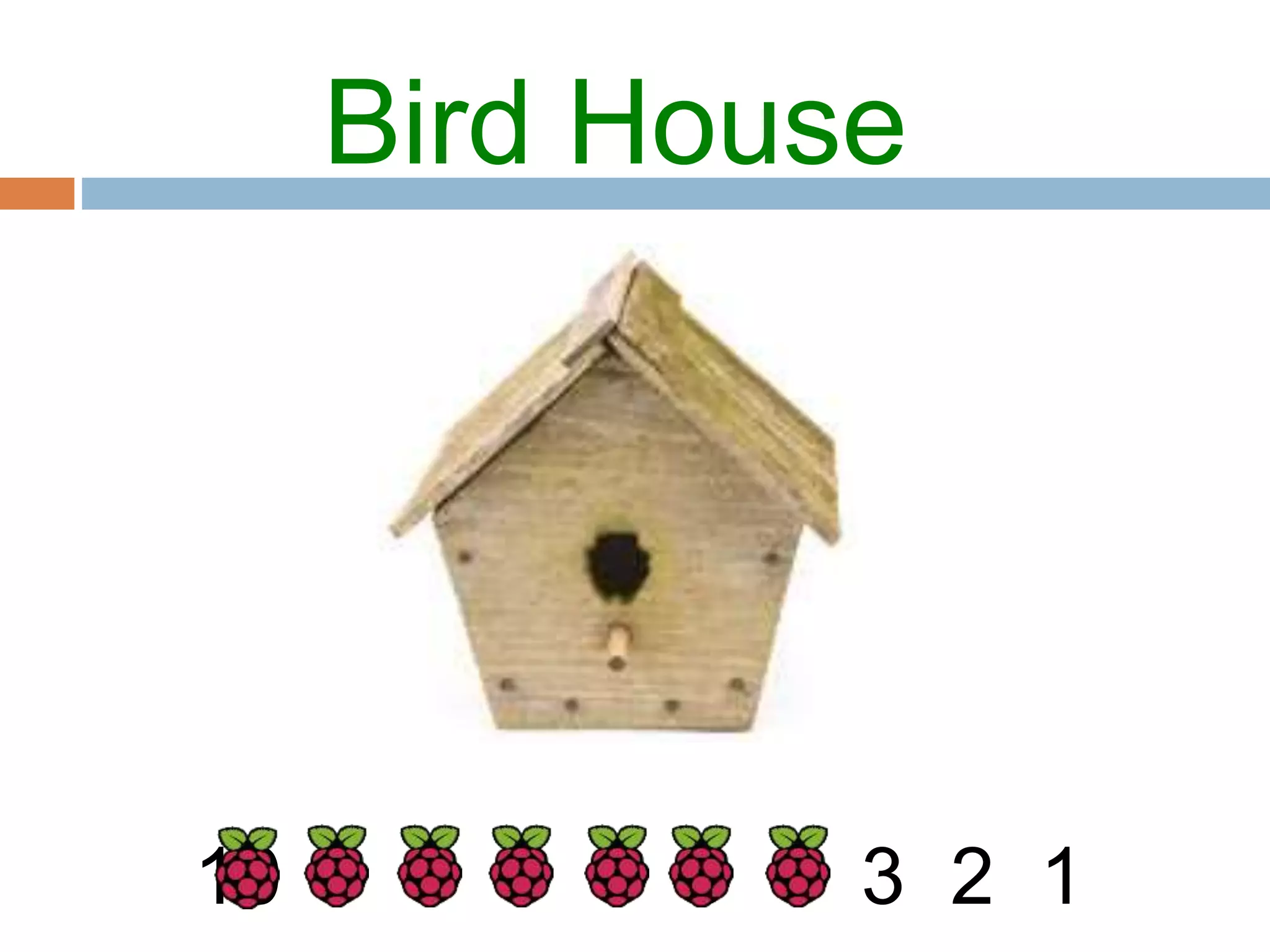 Bird House
1
2
3
4
5
6
7
8
9
10
 
