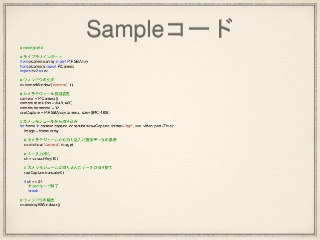 Raspberry Pi 奮闘記2 カメラ的な何か