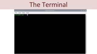 Lt Raspberry Navy Powerpoint Raspberry Pi ppt.pptx