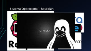 Sistema Operacional - Raspbian
 