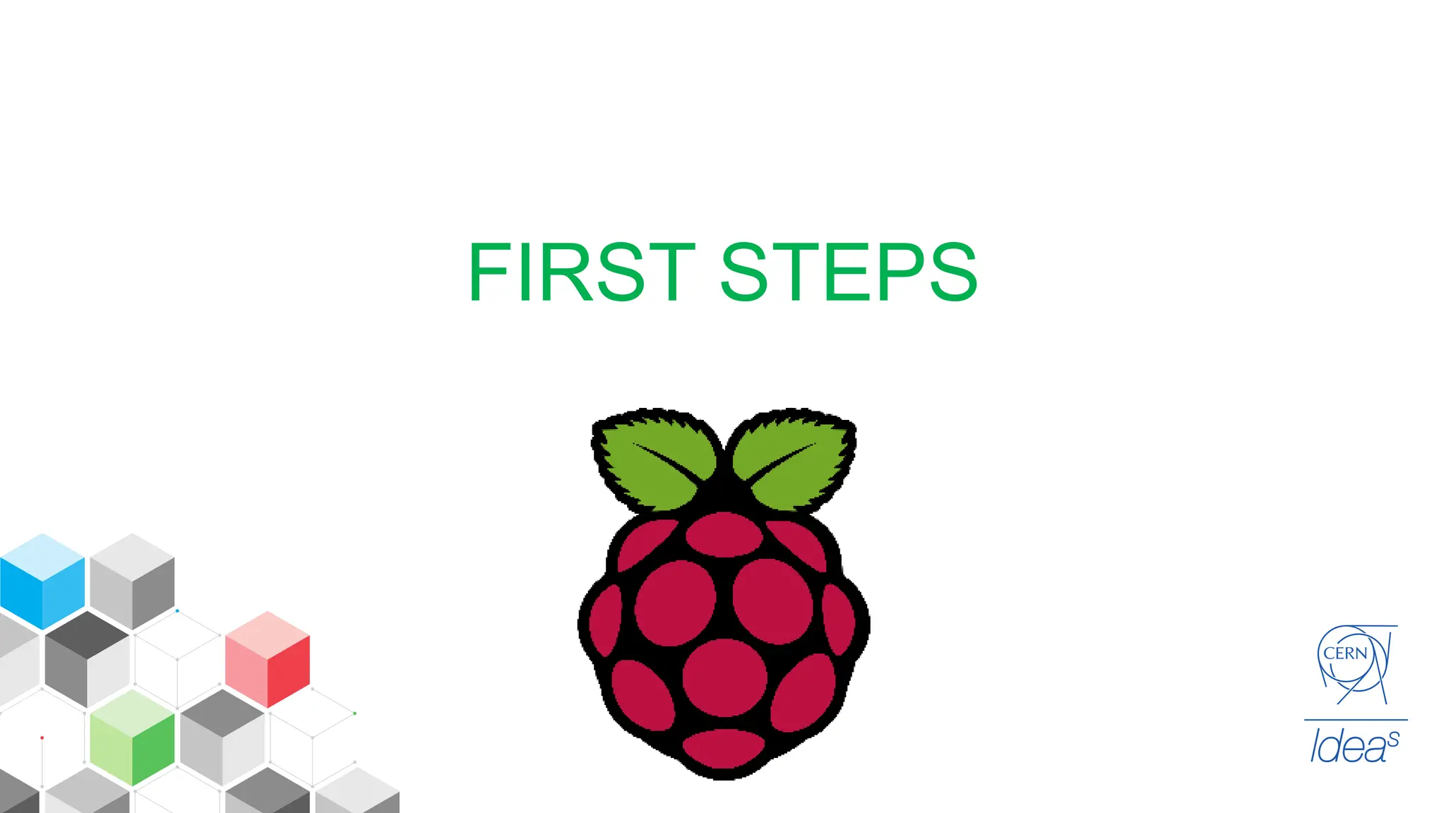 FIRST STEPS
 