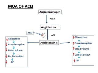 Octangle Ras System Ras system | PPTX