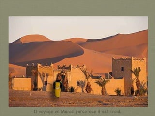 Il voyage en Maroc parce-que il est froid. 