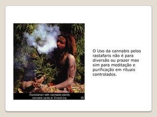 O Uso da cannabis pelos
rastafaris não é para
diversão ou prazer mas
sim para meditação e
purificação em rituais
controlados.
 