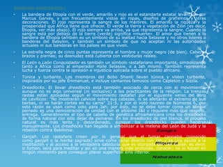 Símbolos importantes : 
•LabanderadeEtiopíaconelverde,amarilloyrojoeselestandarteestatallevantadoporMarcusGarvey,ysonfrecuentementevistosenropas,diseñosdegrafismosyotrasdecoraciones.Elrojorepresentalasangredelosmártires.ElamarillolariquezaylaprosperidadqueÁfricatienequeofrecer.ElverdelatierrayvegetacióndeZión(esdecir, Etiopía,vermásabajo).Elrojosiemprevaarriba,yaquerepresentalasangre.Cuandolasangreestápordebajodelatierra(verde)significa«muerte».ElamorquetienenalabanderadeEtiopíatambiénesunsímbolodesulealtadhaciaSelassieynootroslíderesobanderasdelBabylon,ytambiénunsímbolodequenoaceptannilasautoridadesactualesnisusbanderasenlospaísesenqueviven. 
•Laestrellanegradecincopuntasrepresentaalhombreymujernegro(debien).Cabeza, brazosypiernas;sudesnudezestácubiertaconvestidurasreales. 
•ElLeónoLeónConquistadorestambiénunsímbolorastafarianoimportante,simbolizandotantoaÁfricacomoalemperadorHaileSelassie,oaJahmismo.Tambiénrepresentaluchayfuerzacontralaopresióneinjusticiaaplicadasobreelpuebloafricano. 
•Túnicayturbante.LosmiembrosdelBoboShantillevantúnicayvistenturbante, inspiradosporsujefeEmmanuel,eincluyecantantesfamososcomoCapletonySizzla. 
•Dreadlocks.Elllevardreadlocksestátambiénasociadodecercaconelmovimiento, aunquenoesalgouniversal(niexclusivo)alospracticantesdelareligión.LatrenzasrastasestánapoyadassegúnelmovimientorastafariporelsiguienteversodellibrodeLevíticos:"Nomostraráncalviciesobresuscabezas,niseafeitaránelextremodesusbarbas,niseharáncortesensucarne"21:5,yporelvotonazireodeNúmeros6,porestarazónseusancomovotoparaJah;poresto,nosedebetomarcomounsimplepeinadoesunademostracióndeunidadconelaltísimoI&Iyrequieremásquerespeto, entrega.Generalmenteeltipodecabellodegenéticaafroamericanacrealosdreadlocksdeformanaturalconsólodejardepeinarse.Enlosdreadlocksdepielblanca,elprocesonaturalesmáslentoydesordenado,aunquelosdreadlockspuedenhacersemanualmente.LosdreadlockshanllegadoasimbolizaralamelenadelLeóndeJudáylarebelióncontraBabilonia. 
•Ganjah.Losrastafariscreenporlogeneralqueelfumarcannabis(conocidocomoganjaholahierbasagrada)sirvecomocanaldirectoconJahyesunaayudaalameditaciónyalaccesoalaverdaderasabiduríaqueesotorgadaporJahGuide,esdecir, sifuman,seráparameditaryasíenunamaneramásprofunda,conocer;nolohacenenningúnmomentoparaconseguirplacersuperficialsinointerior.  