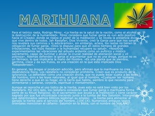 Para el teórico rasta, Rodrigo Pérez: «La hierba es la salud de la nación, como el alcohol es la destrucción de la humanidad». Pérez considera que fumar ganja es «un acto positivo hacia el Creador, donde se realza el poder de la meditación y se revela la presencia divina que vive dentro de todos. Jah Rastafari, Dios Viviente, creó la Ganja para que nos sanara, nos revelara sus caminos y lo adoráramos», sin embargo, aclara, los rastas no tienen la obligación de fumar ganja. «Dios la dispuso para que en estos tiempos de grandes tribulaciones, sus hijos resistan y la humanidad recupere su salud». «Nosotros experimentamos las vibraciones del arbusto ardiente como un eufórico y místico sacramento, capaz de iluminar y aliviar la crucial realidad de alienación social y vil pobreza». Además defienden la ganja al argumentar que no es una droga, porque no es un fármaco, lo que implicaría la mano del hombre. «Es una planta que se siembra, germina, crece y da sus frutos, es una creación en la que está implicado Dios Todopoderoso». 
En general, las drogas sí producen adicción, pero afirman que la marihuana no crea dependencia física. Los rastafaris no consideran prohibirla. Creen que es producto de la ignorancia. La defienden como una creación divina, que no puede estar sujeta a las leyes del hombre, sino a las leyes naturales, al igual que el hombre. «Cualquier ser humano tiene derecho a que en su hogar, en la tierra que habita, siembre lo que necesite para alimentarse y sanarse, corporal, espiritual y mentalmente». 
Aunque se reprocha el uso lúdico de la hierba, pues esto no está bien visto por los Rastafaris. Por otro lado, los rastafaris consideran que fumar ganja o marihuana forma parte de su Ritual Religioso. Es el sacramento que ayuda a la meditación y tiene carácter sagrado por que fue encontrada creciendo junto a la tumba del Rey Salomón. Interpretan que determinados salmos bíblicos legitiman su empleo: …la hierba para alimentar al ganado la hierba para el servicio del hombre…(104:14). Numerosos antiguos textos orientales mencionan el cáñamo: Salomón en la Biblia, con el nombre de "KALAMO".  