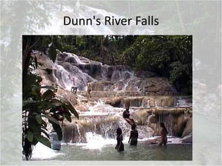 Dunn's River Falls
 