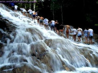 Dunn's River Falls
 