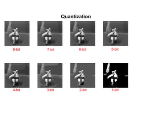 Quantization
8-bit 7-bit 6-bit 5-bit
4-bit 3-bit 2-bit 1-bit
 