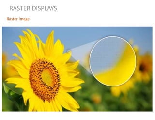 RASTER DISPLAYS
Raster Image
 