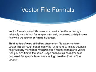 Raster and vector | PPTX