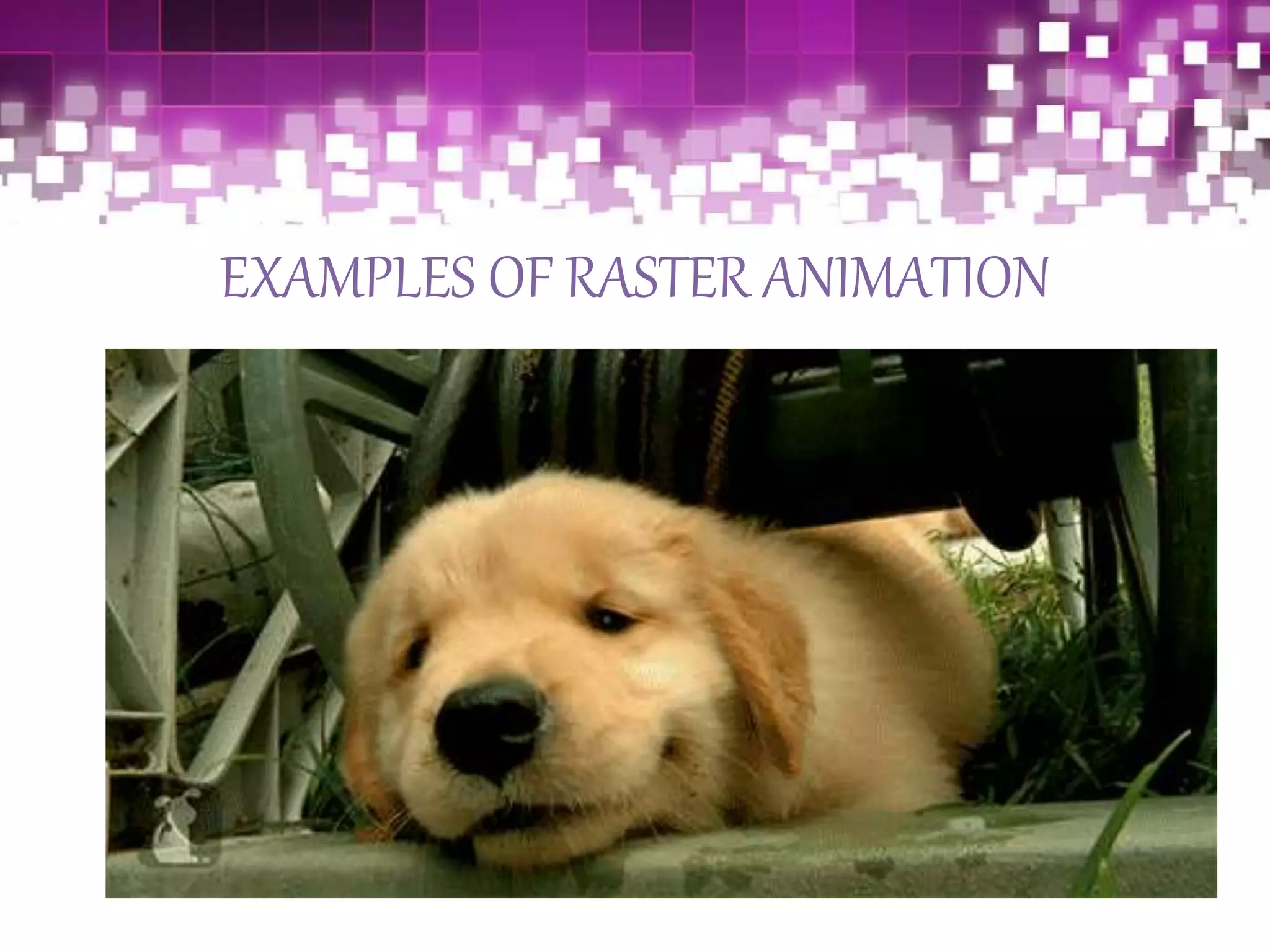 EXAMPLES OF RASTER ANIMATION
 