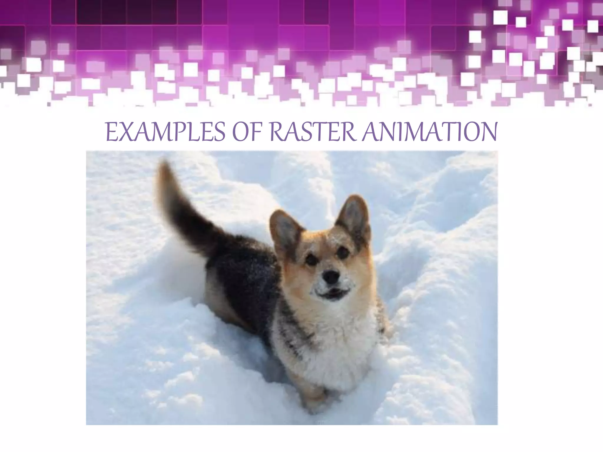EXAMPLES OF RASTER ANIMATION
 