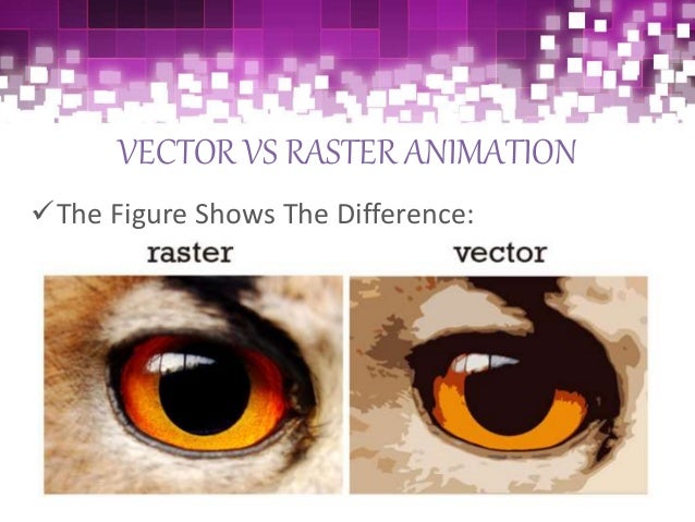 vector vs raster sai vector vs raster sai