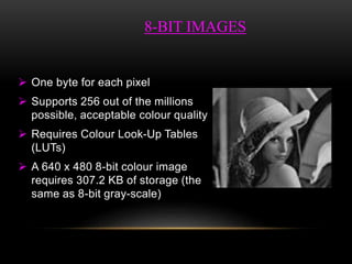  One byte for each pixel
 Supports 256 out of the millions
possible, acceptable colour quality
 Requires Colour Look-Up Tables
(LUTs)
 A 640 x 480 8-bit colour image
requires 307.2 KB of storage (the
same as 8-bit gray-scale)
8-BIT IMAGES
 